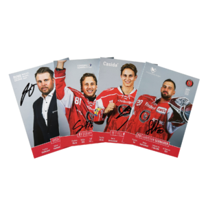 Spielerkartensatz 2025/26